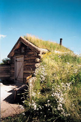 A sod roof cottage at Gibbs Museum.